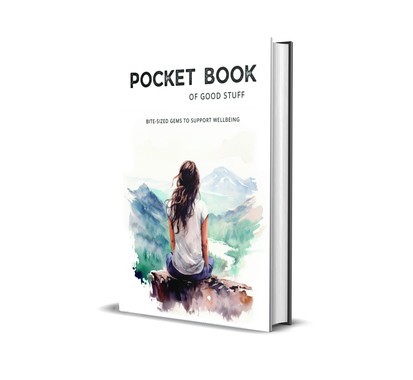 Pocket Book of Good Stuff (Hardcover)
