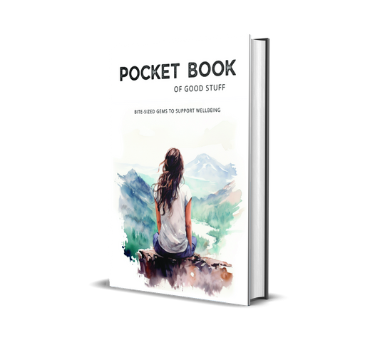 Pocket Book of Good Stuff (Hardcover)